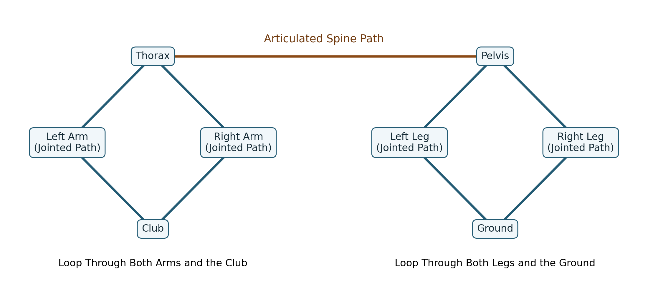 Two closed paths pass through both arms and the club, and both legs and the ground. The articulated spine connects thorax and pelvis without forming an additional cycle.